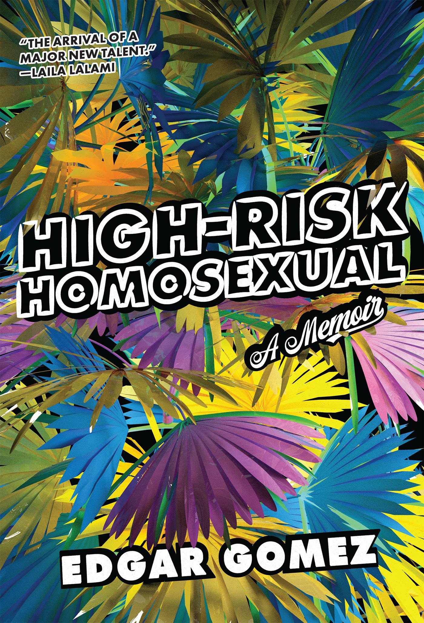 High-Risk Homosexual: A Memoir