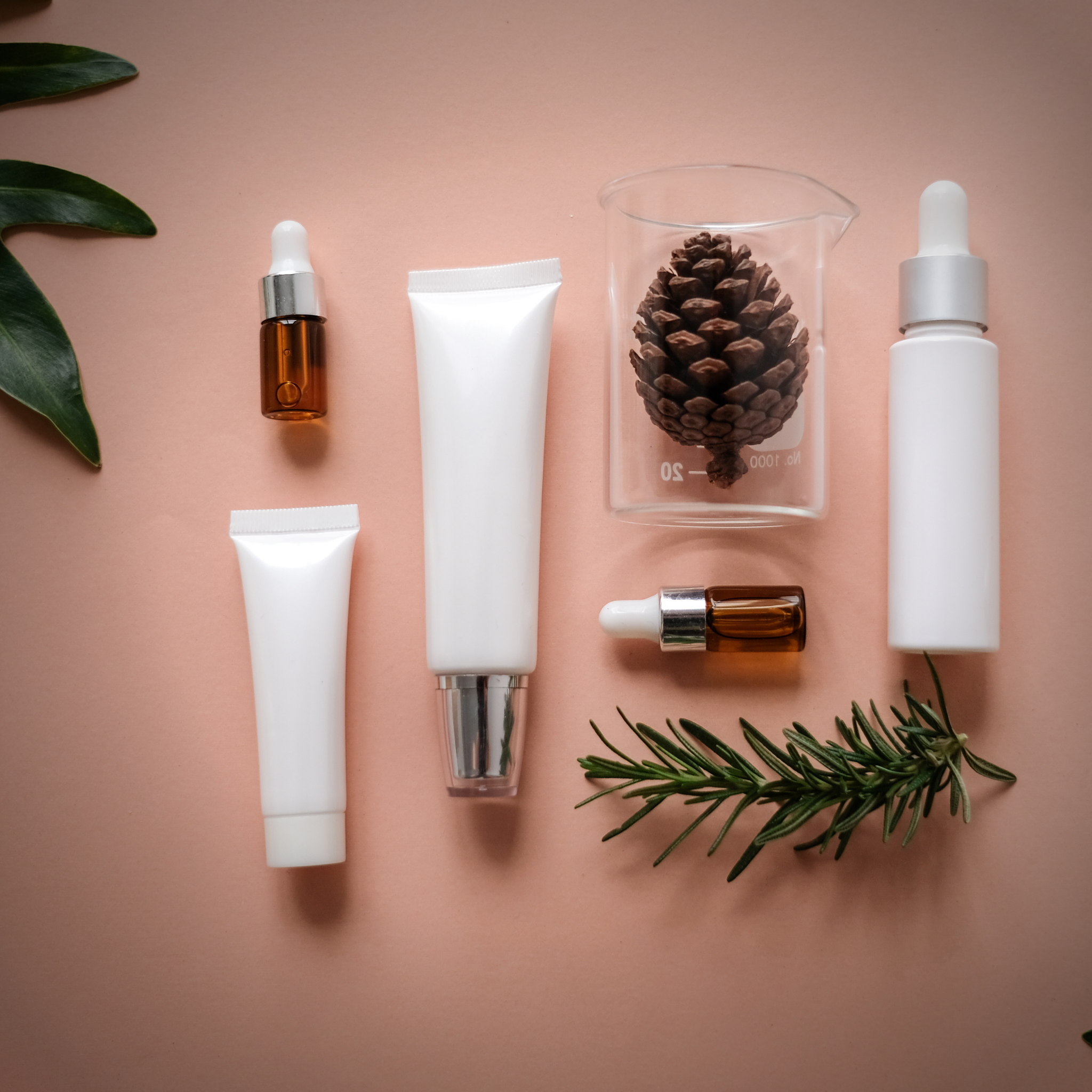 Rebooted Skincare Essentials for Fall