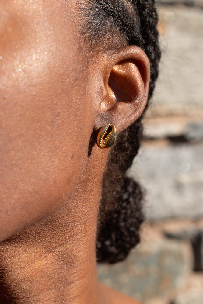 
            
                Load image into Gallery viewer, Cowrie Earrings Gold
            
        